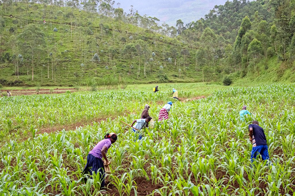 Rwandan community meeting together for impact planning